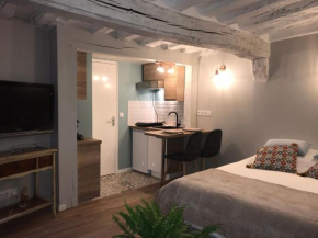 La P'tite Grise - Studio Cosy centre Honfleur